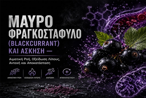 Μαύρο Φραγκοστάφυλο και Άσκηση: Αντοχή, Καύση Λίπους και Αποκατάσταση